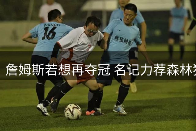 詹姆斯若想再夺冠 名记力荐森林狼成最佳选择