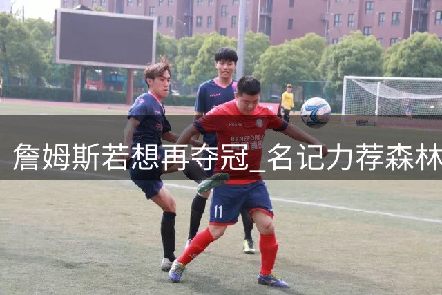 詹姆斯若想再夺冠 名记力荐森林狼成最佳选择